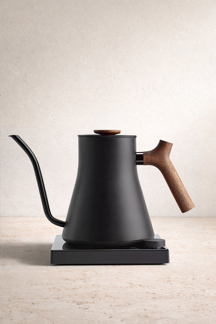 Fellow Stagg EKG Electric Kettle
