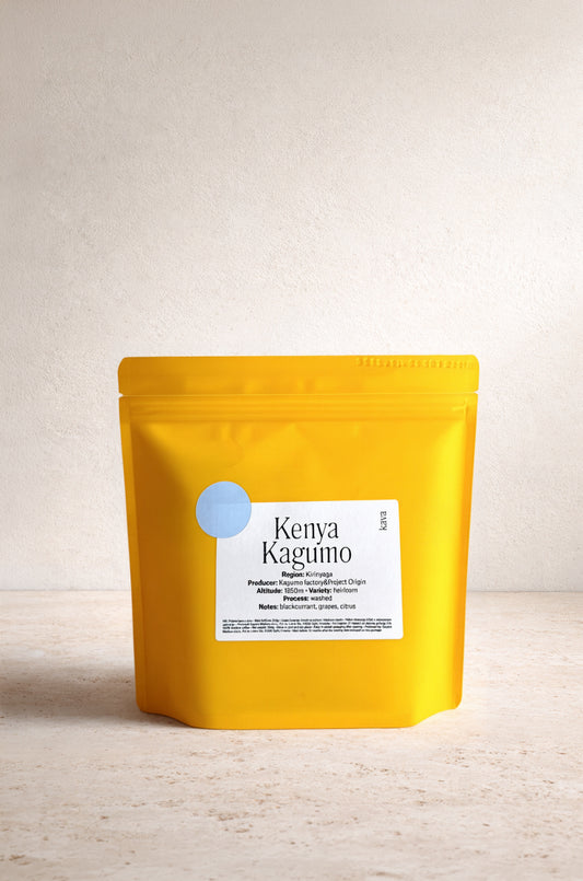 Kenya Kagumo Washed