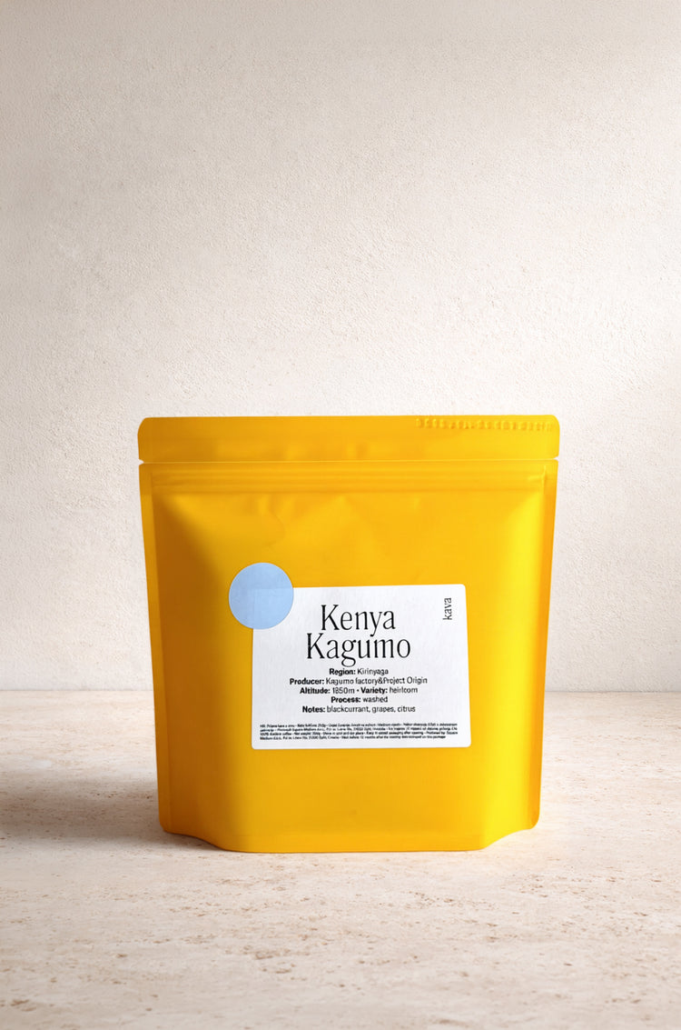 Kenya Kagumo Washed